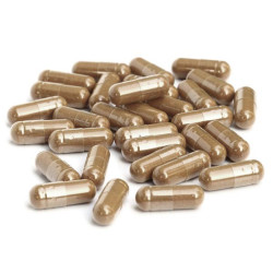 Propolis capsules Puur 120st 