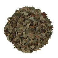 Stinkende Gouwe  (Chelidonium majus)