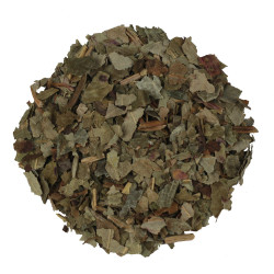 Stinkende Gouwe  (Chelidonium majus)