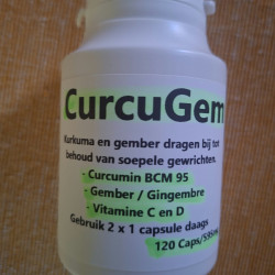 CurcuGem Capsules 595mg (BCM-95) 