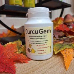 CurcuGem Capsules 595mg (BCM-95) 