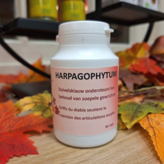Duivelsklauw capsules (Harpagophytum) 500mg  