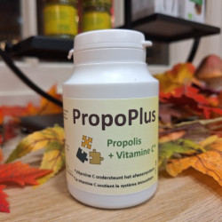 PropoPlus Capsules 540mg 
