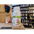 Salie Bio Capsules (Salvia officinalis) 250mg 