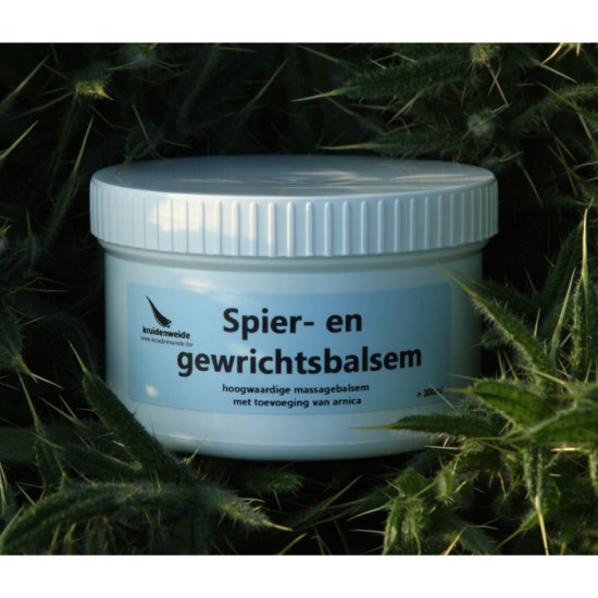 Spier- en gewrichtsbalsem 300ml