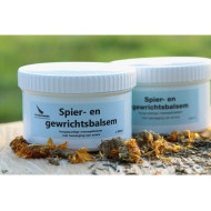 Spier- en gewrichtsbalsem Set 2 x 300g