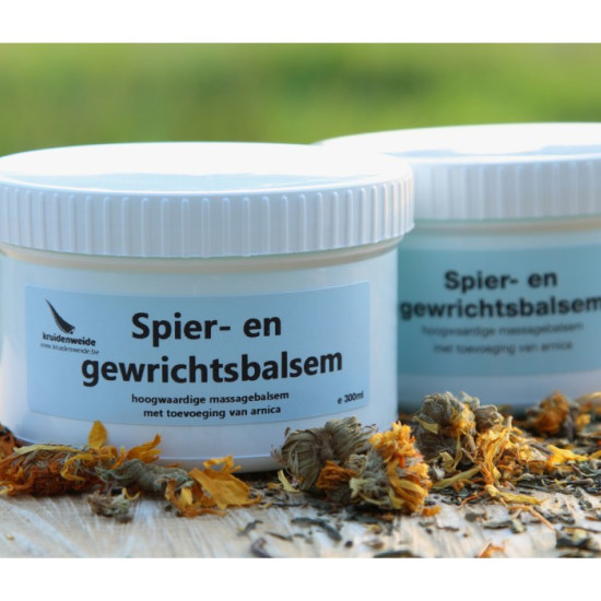 Spier- en gewrichtsbalsem Set 2 x 300g