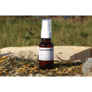 Propolis mond- en keelspray 20ml