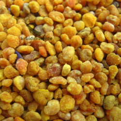 Stuifmeel 1kg