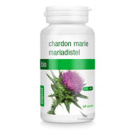 Mariadistel Bio Capsules (Silybium marianum) 200mg 